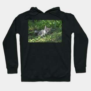 Wolf Puppy Hoodie